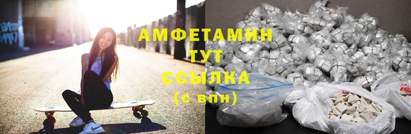 мдпв Михайлов