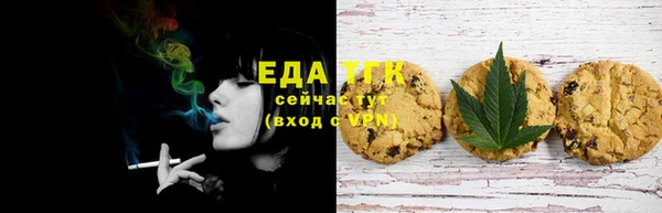 индика Михайловск