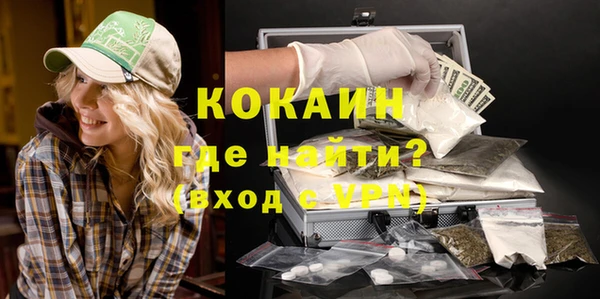 индика Михайловск