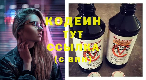 мдпв Михайлов