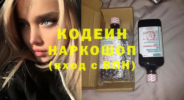 индика Михайловск