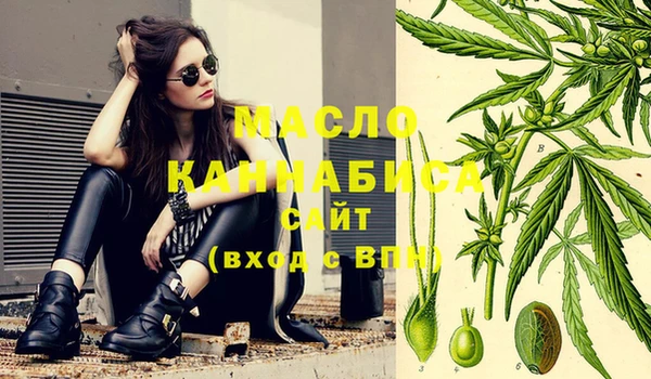 индика Михайловск