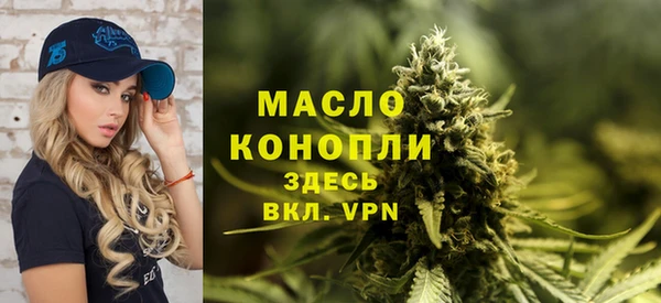 мдпв Михайлов