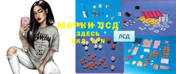 индика Михайловск