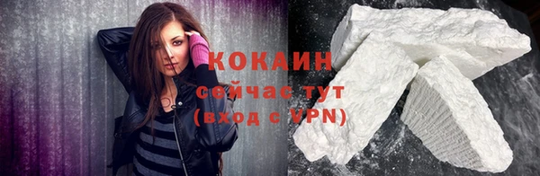 индика Михайловск