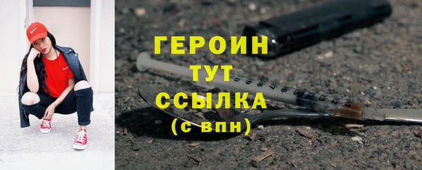 индика Михайловск
