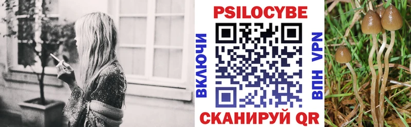 Галлюциногенные грибы GOLDEN TEACHER  продажа наркотиков  Кувандык 