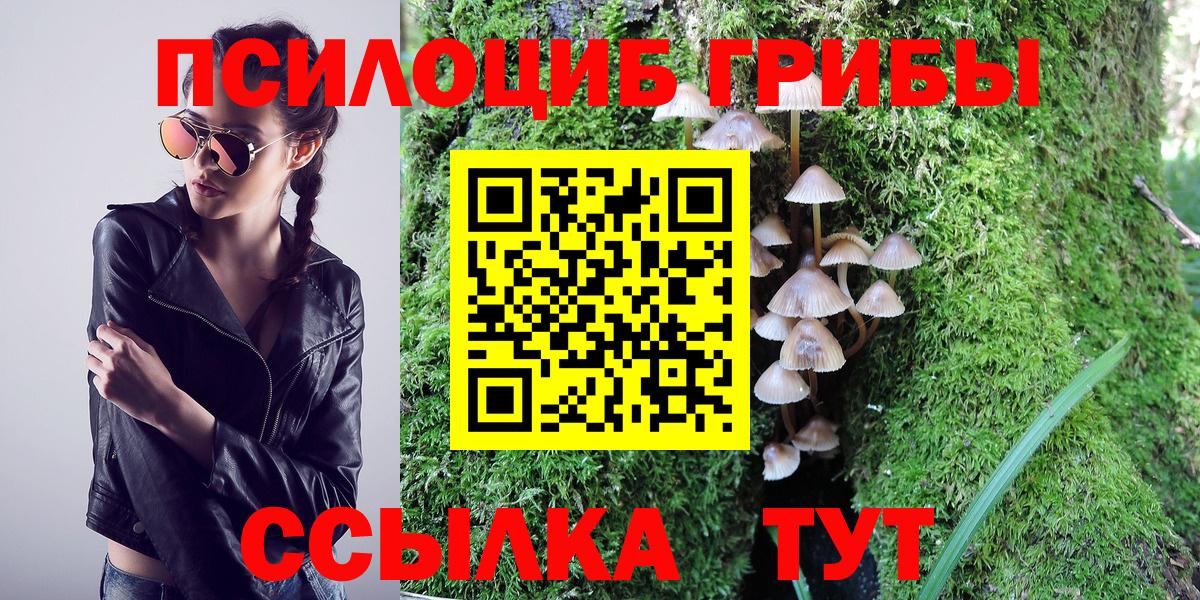 Галлюциногенные грибы прущие грибы Кувандык