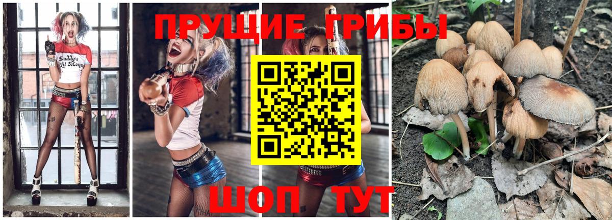 Галлюциногенные грибы GOLDEN TEACHER Кувандык