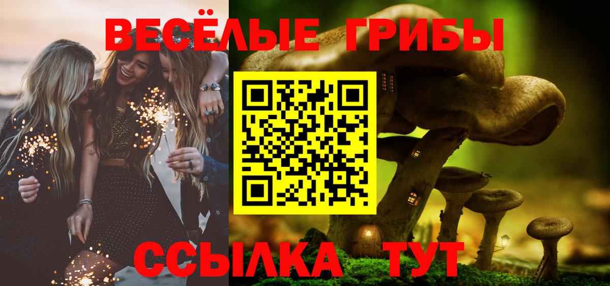 даркнет сайт  Галлюциногенные грибы GOLDEN TEACHER  Вход с VPN  Кувандык 