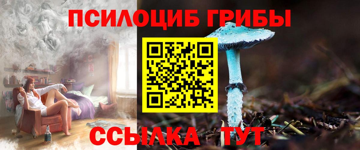 Псилоцибиновые грибы прущие грибы  Псилоцибиновые грибы прущие грибы  Кувандык 