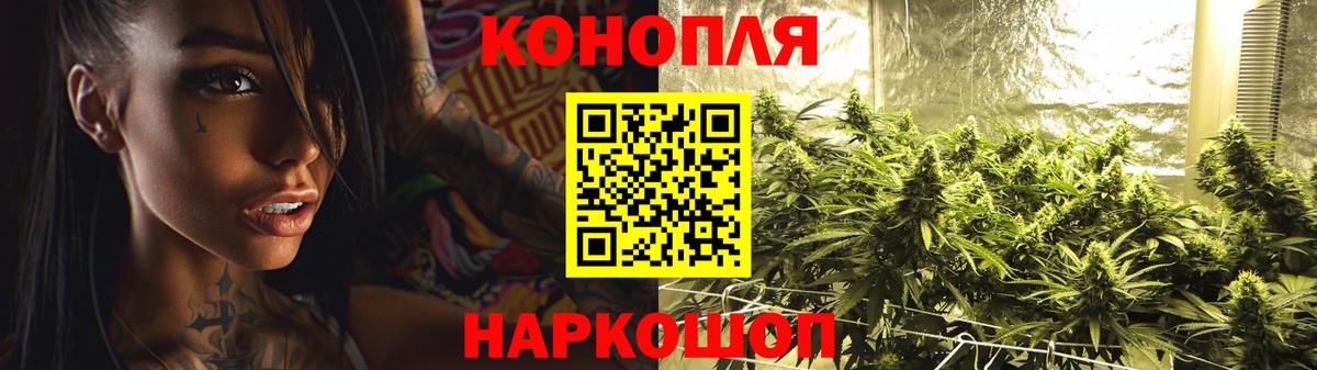 Конопля White Widow  Конопля SATIVA & INDICA  Кувандык  Вход с VPN  Каннабис ГИДРОПОН 